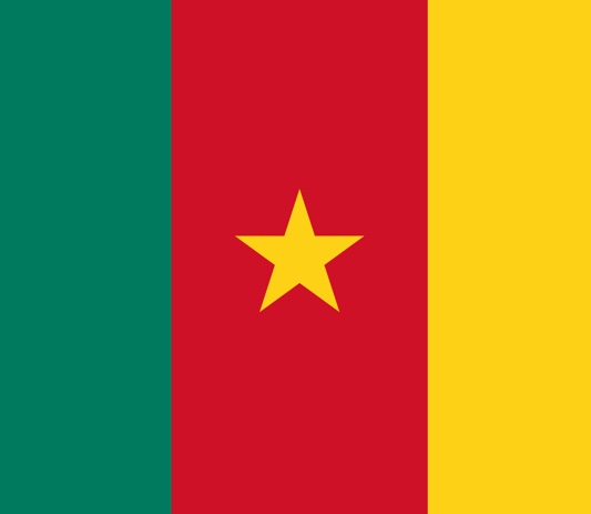 Kamerun.  Mediasi Kanada untuk perang antara pemerintah dan faksi berbahasa Inggris