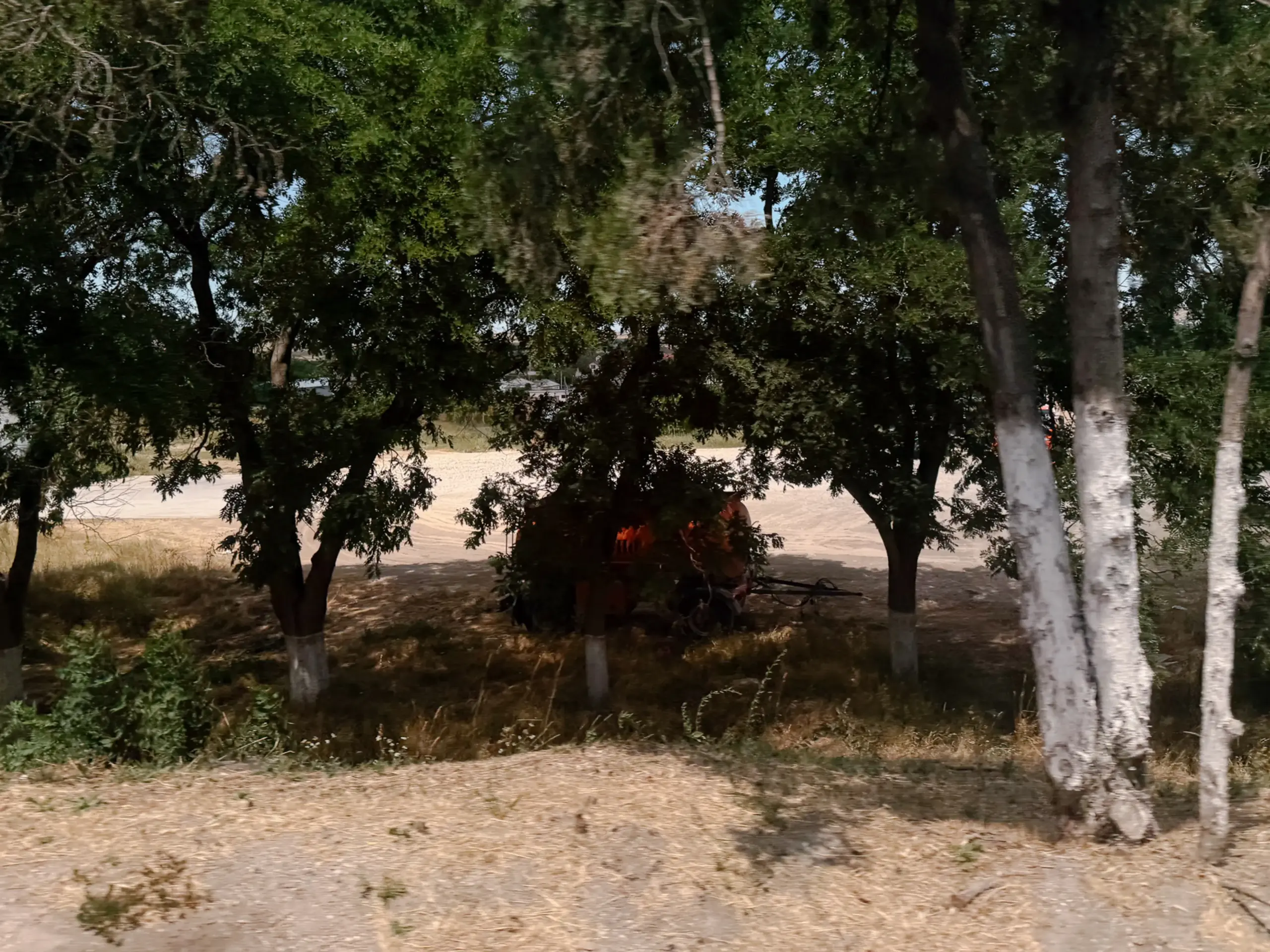 Autocisterna nascosta sotto gli alberi